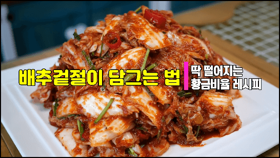 배추 겉절이