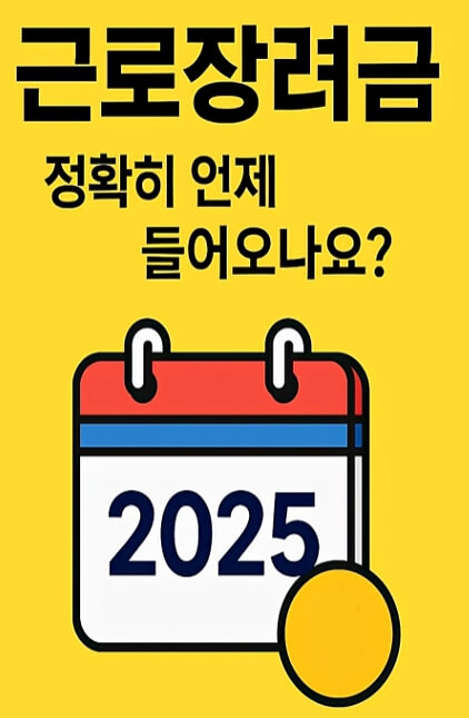 8월 28일 확정