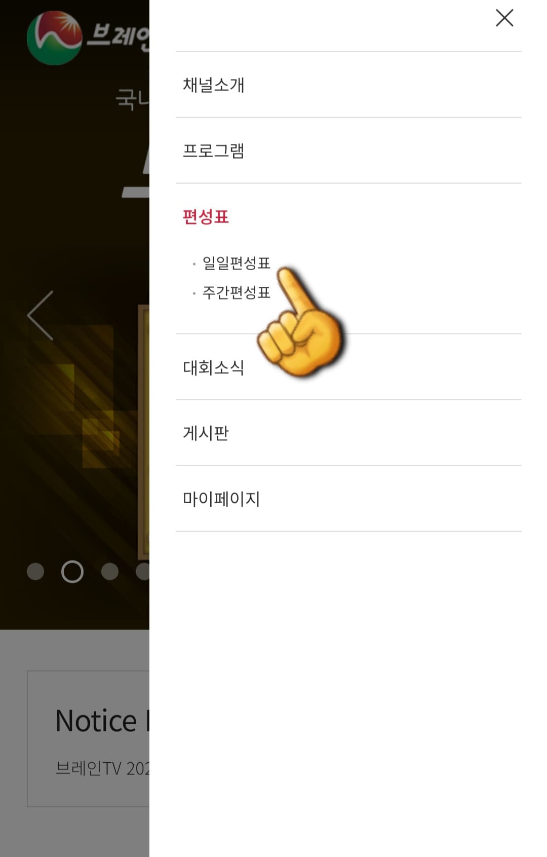 브레인tv-편성표-및-채널번호-안내-세번째-줄에-있는-편성표-메뉴를-선택하고-일일편성표를-클릭합니다.