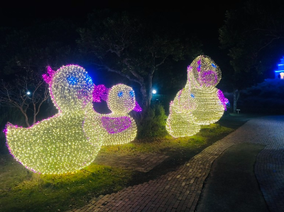 오리모양-루미나리에