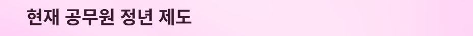 공무원정년연장65세
