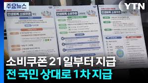 민생 소비 쿠폰