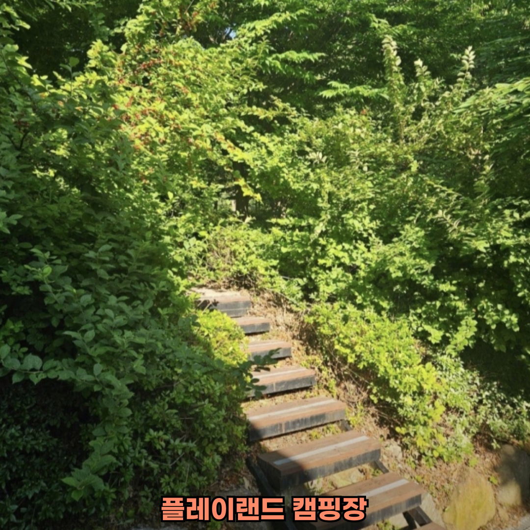 파주캠핑장