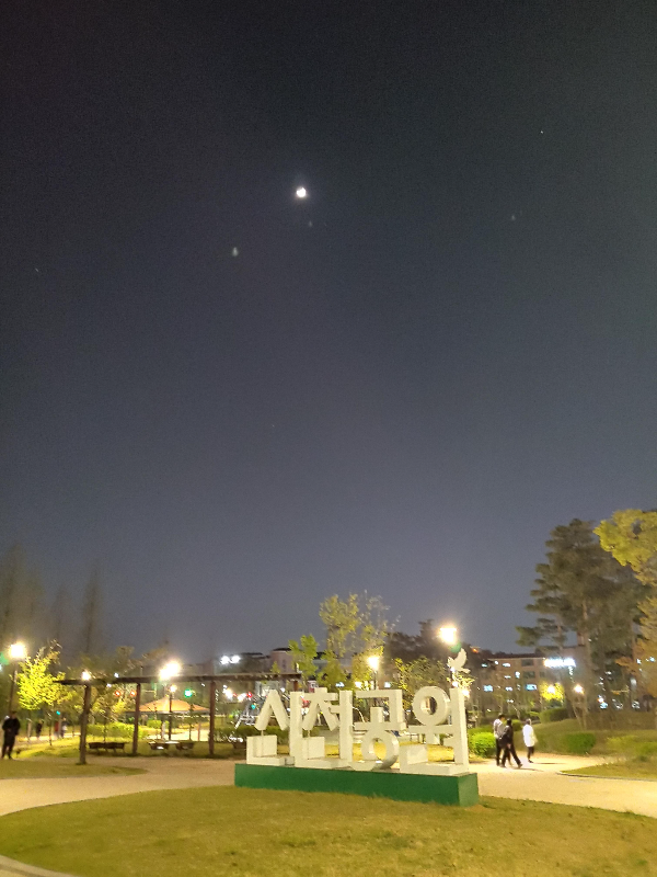 밤의-피크닉-밤의-산책-@신천공원