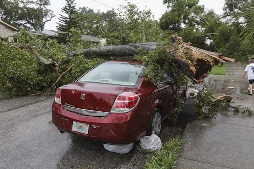 손해평가사 시험