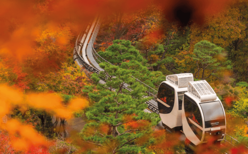 화담숲 예약 방법
화담숲 가을 단풍 명소
경기도 광주 화담숲
화담숲 모노레일 예약
화담숲 운영 시간
화담숲 입장료
화담숲 주차 정보
화담숲 방문 팁
화담숲 테마 정원
화담숲 가을 나들이
화담숲 가을 단풍 절정
화담숲 가을 단풍 시즌
화담숲 예약 꿀팁
화담숲 가족 나들이
화담숲 연인 데이트