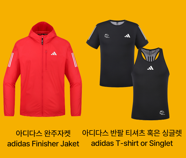 서울레이스 2025 신청