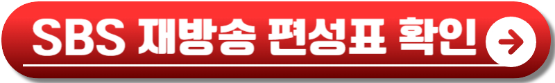 나의 완벽한 비서 재방송