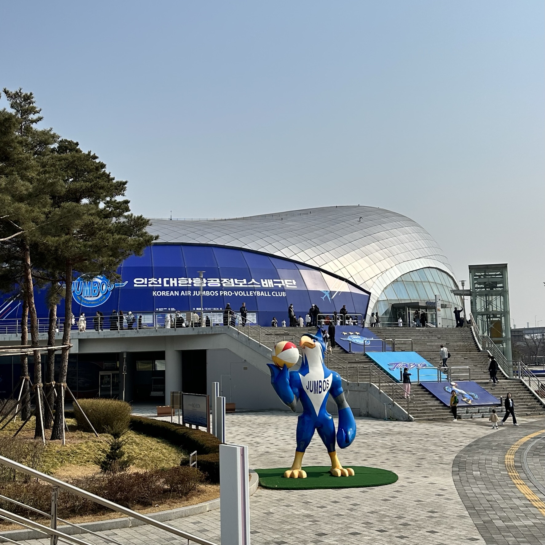 점보스직관