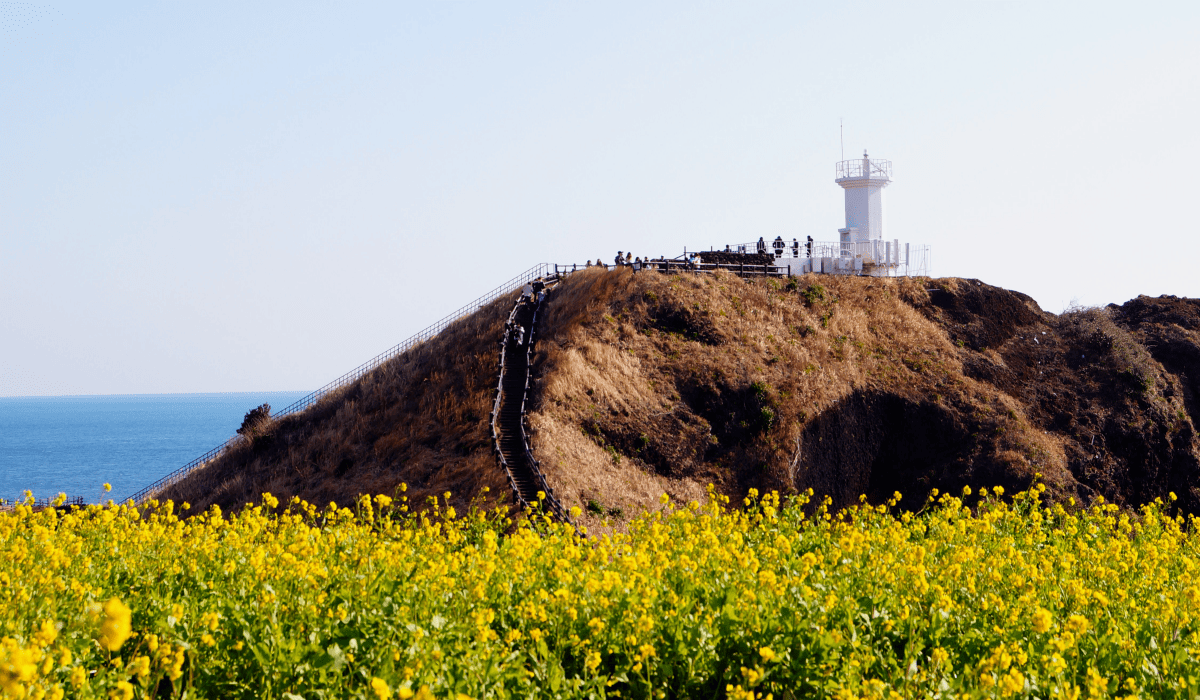 제주도_렌트카_저렴한곳_7