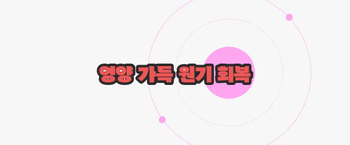 잣 효능 한 번 정리해볼까요