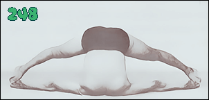 소소한요가 클래스