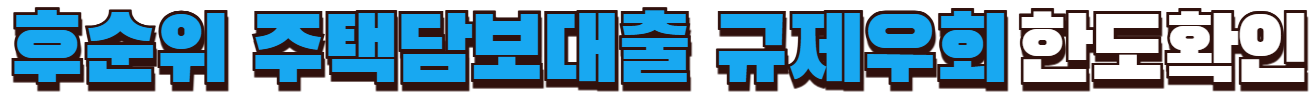 후순위 주택담보대출 규제우회 한도확인