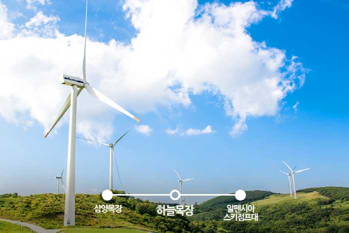 8월 국내 여행지 추천 베스트 