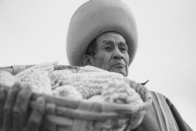 정년연장 65세 시행 시기