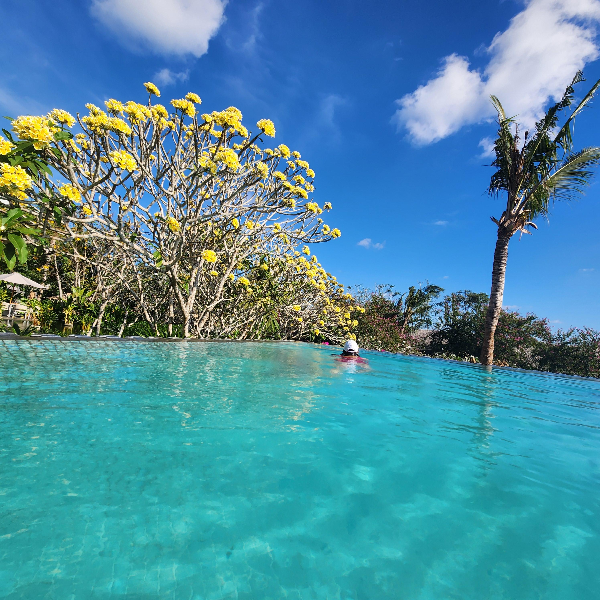 노란 꽃이 열린 나무가 옆에 있는 수영장. 수영장에는 한 사람이 수영을 하고 있다.
