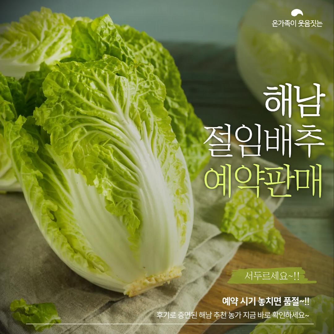 해남 절임배추 예약판매