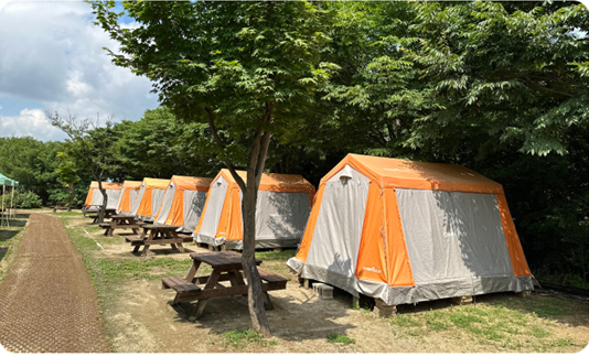 캐빈텐트 이미지
출처: 인천대공원 홈페이지