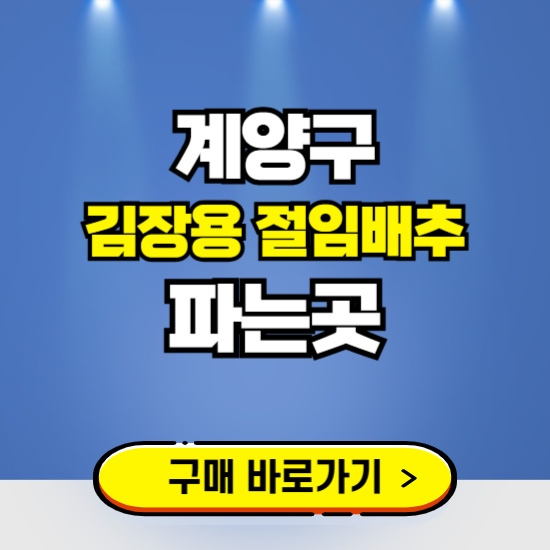 계양구 절임배추 사전예약 구입하는곳 ❘ 김장배추 파는곳 가격보기