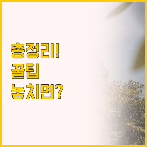 욕야카르타 여행 호텔 선택 가이드 더..