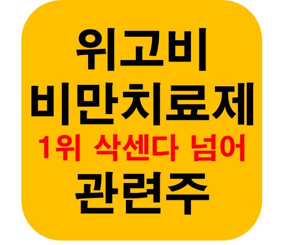 위고비 비만치료제 삭센다 넘어