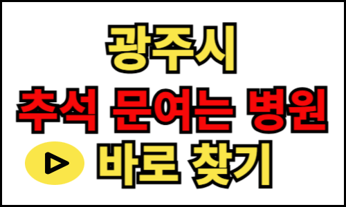 광주광역시 문 여는 추석 병원과 약국 설날 병원 명절 연휴