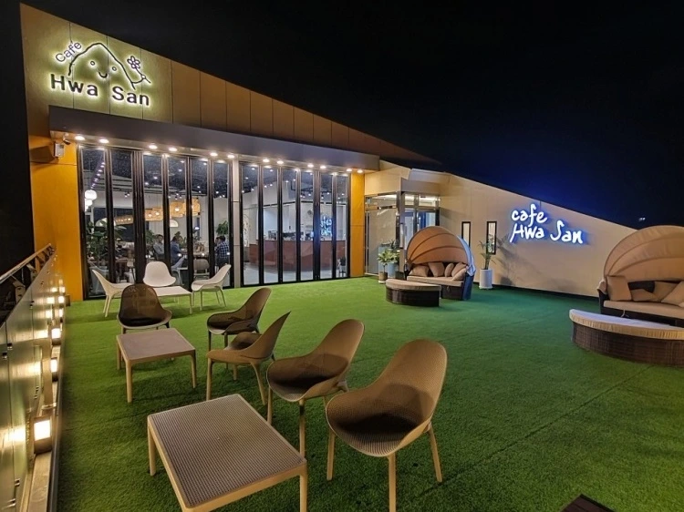 맥문동 축제 일정, 맥문동 꽃 피는 시기, 장항 송림자연휴양림