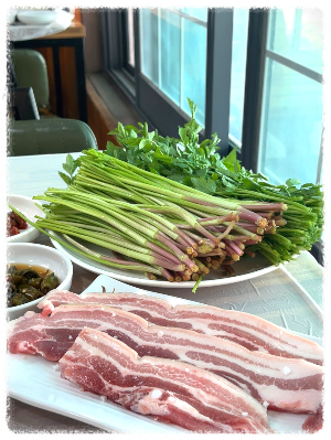 고향정