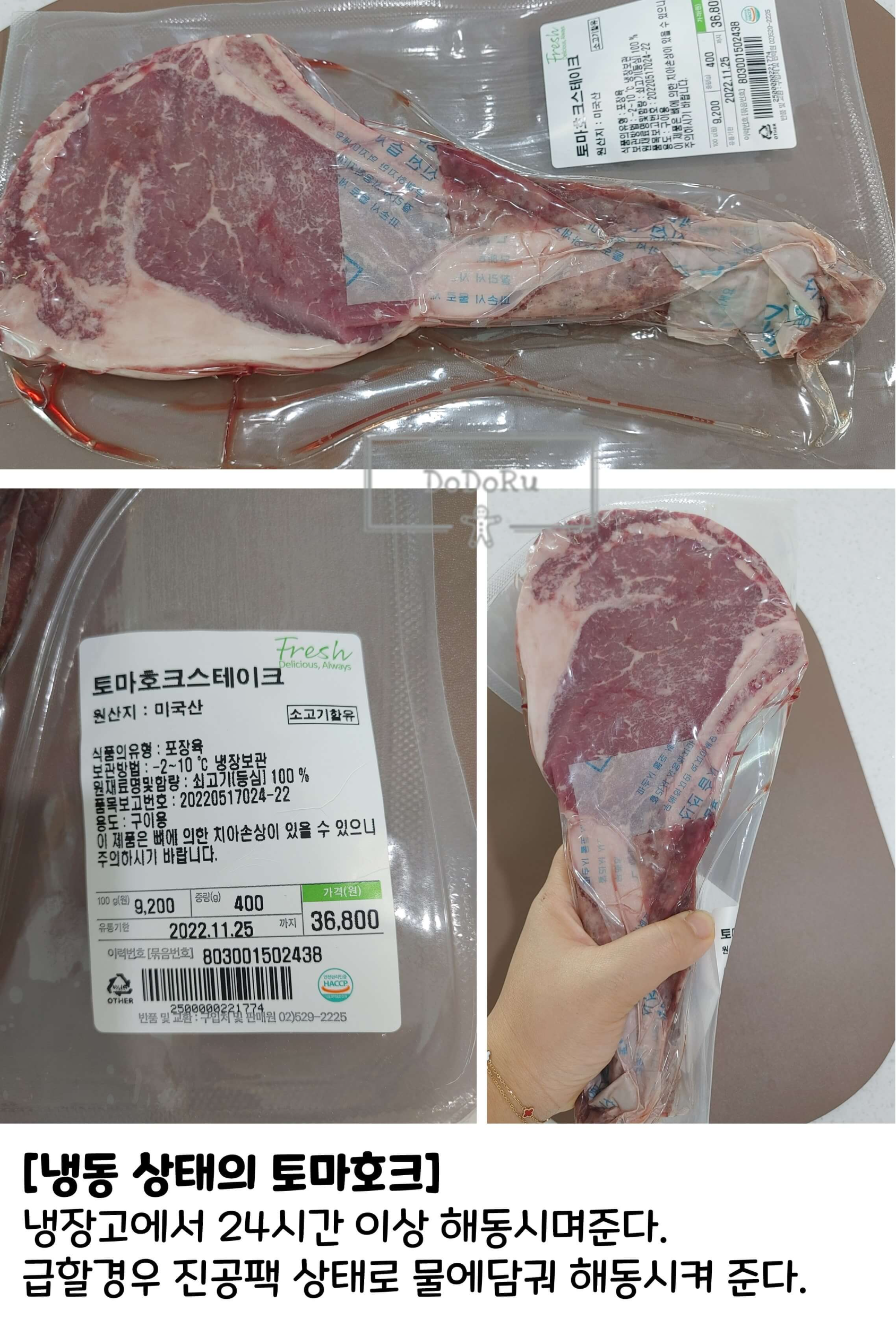 토마호크-해동하기