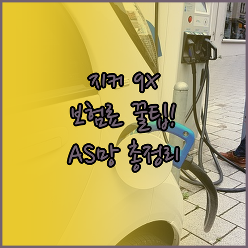 지커 9X 수입 전기차 보험료 요율과..