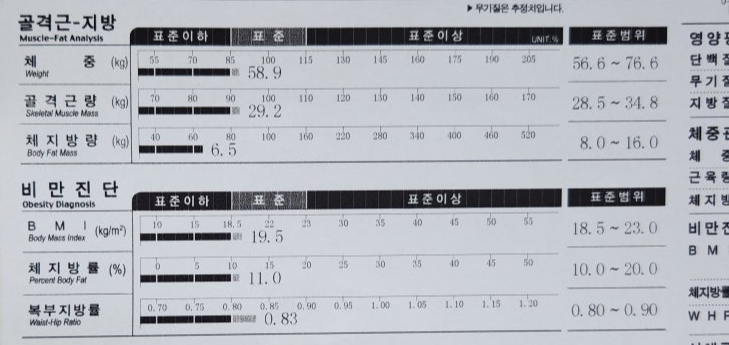 인바디, 체지방량, 체지방률, BMI
