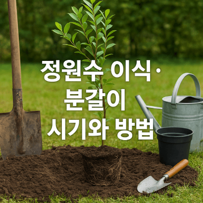 [정원가꾸기_실전편]정원수 이식&middot;분갈이 시기와 방법 : 최적 시기와 단계별 분갈이 가이드