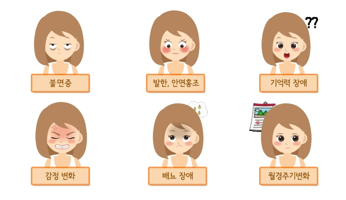 갱년기