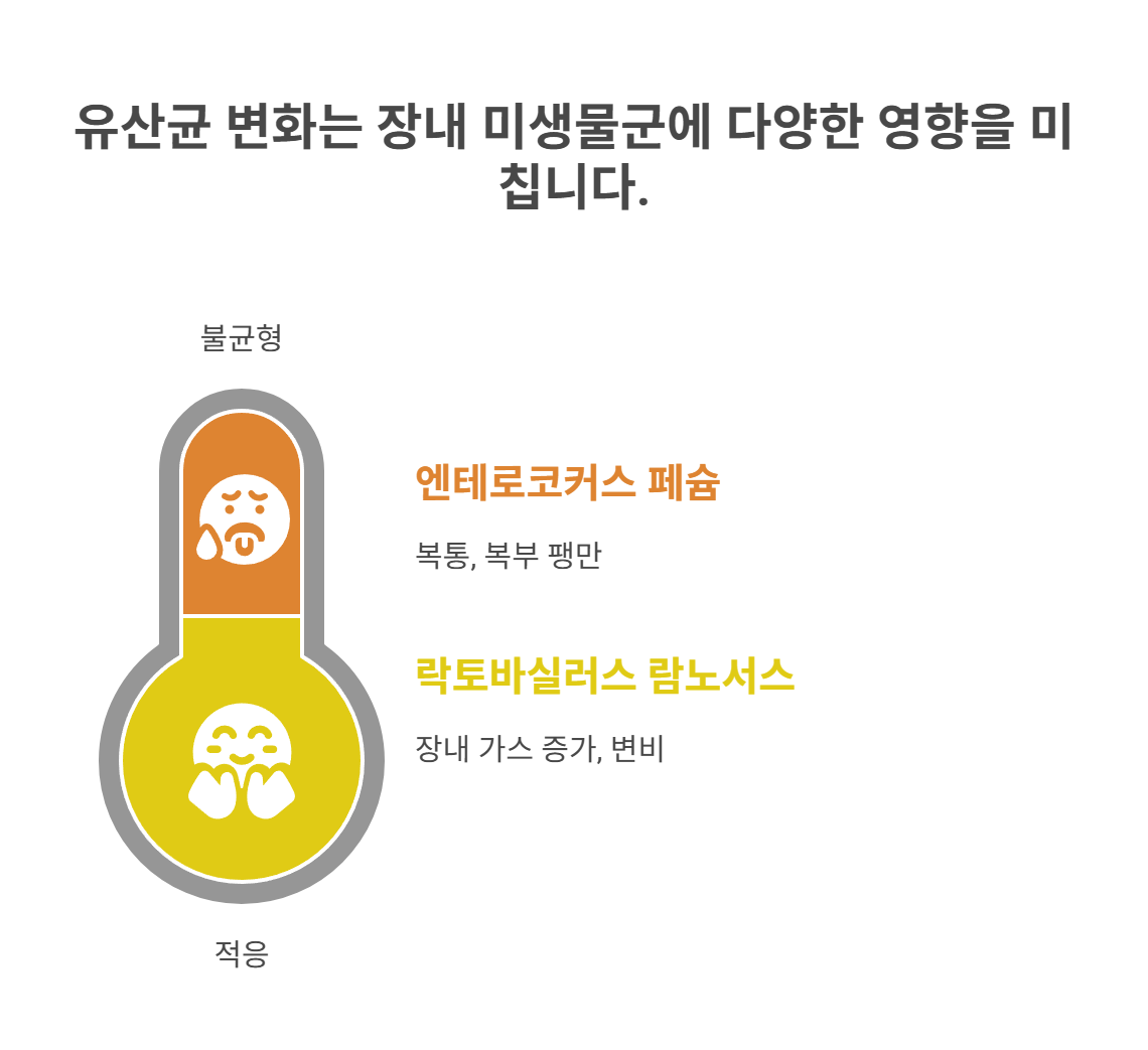 유산균 바꾸면 왜 장 트러블이 생길까?