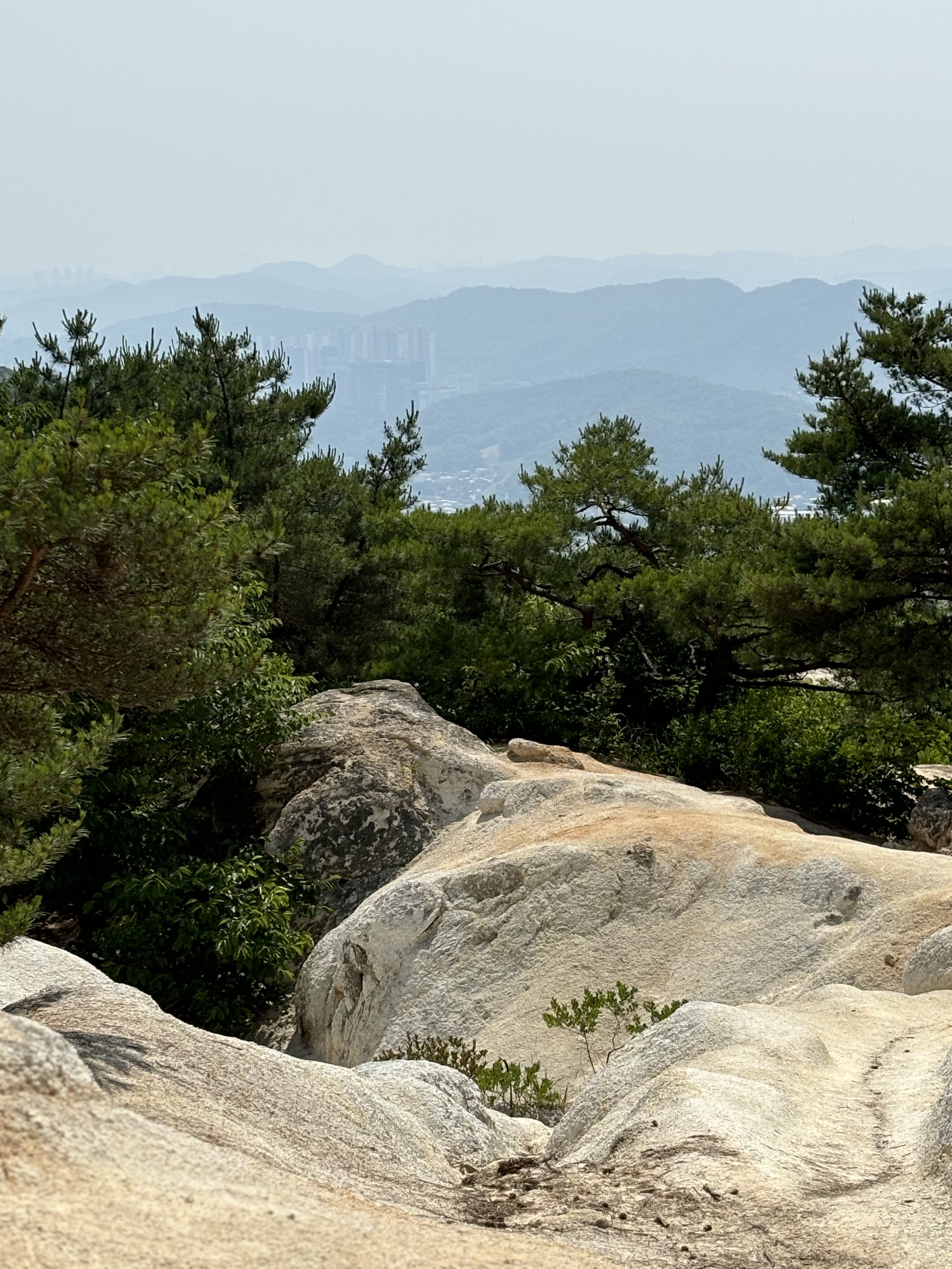 호암산