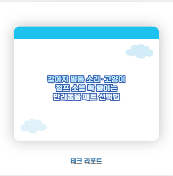 강아지 발톱 소리&middot;고양이 점프 소음 확 줄이는 반려동물 매트 선택법