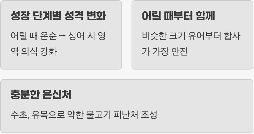 합사 전, 이것만은 꼭 알아두세요