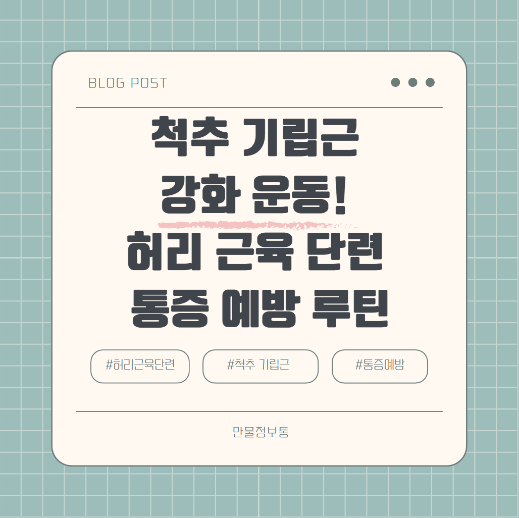 척추 기립근 강화 운동! 허리근육 단련 통증 예방 루틴