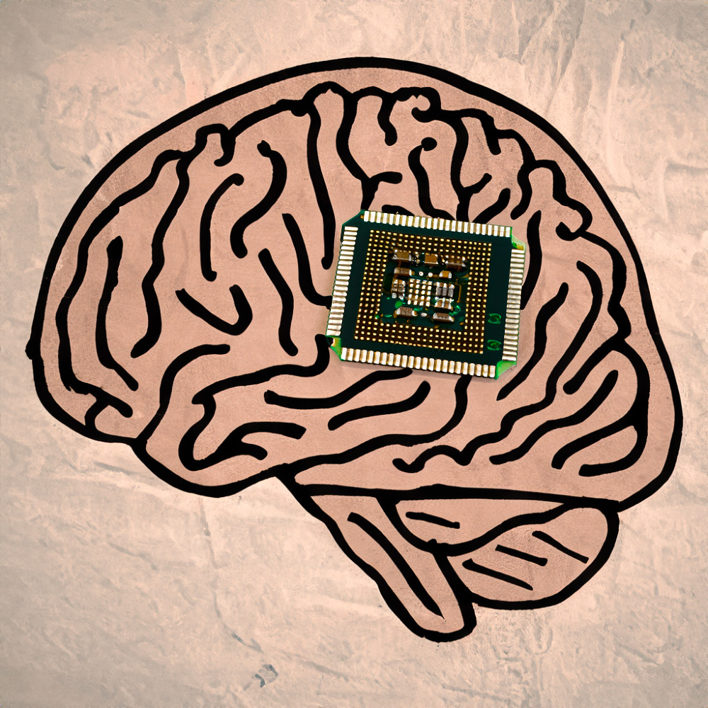 일론머스크 뇌에 컴퓨터칩 이식