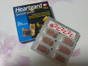 심장사상충약 복용 시기 가격 강아지 고양이 직구 부작용_8
