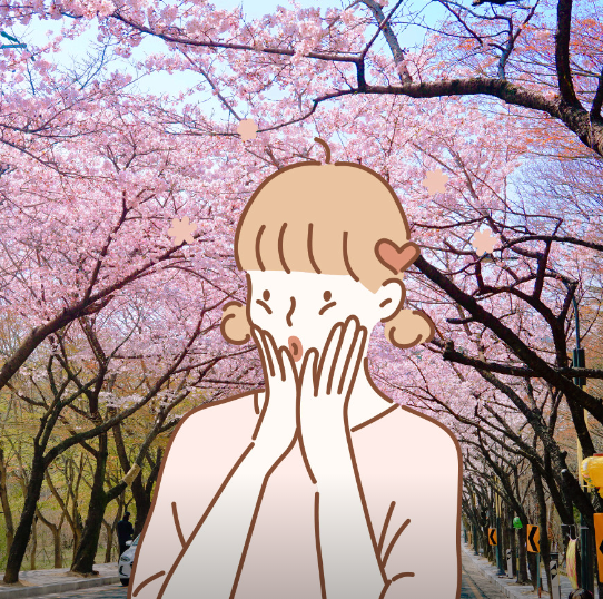 팔공산케이블카1