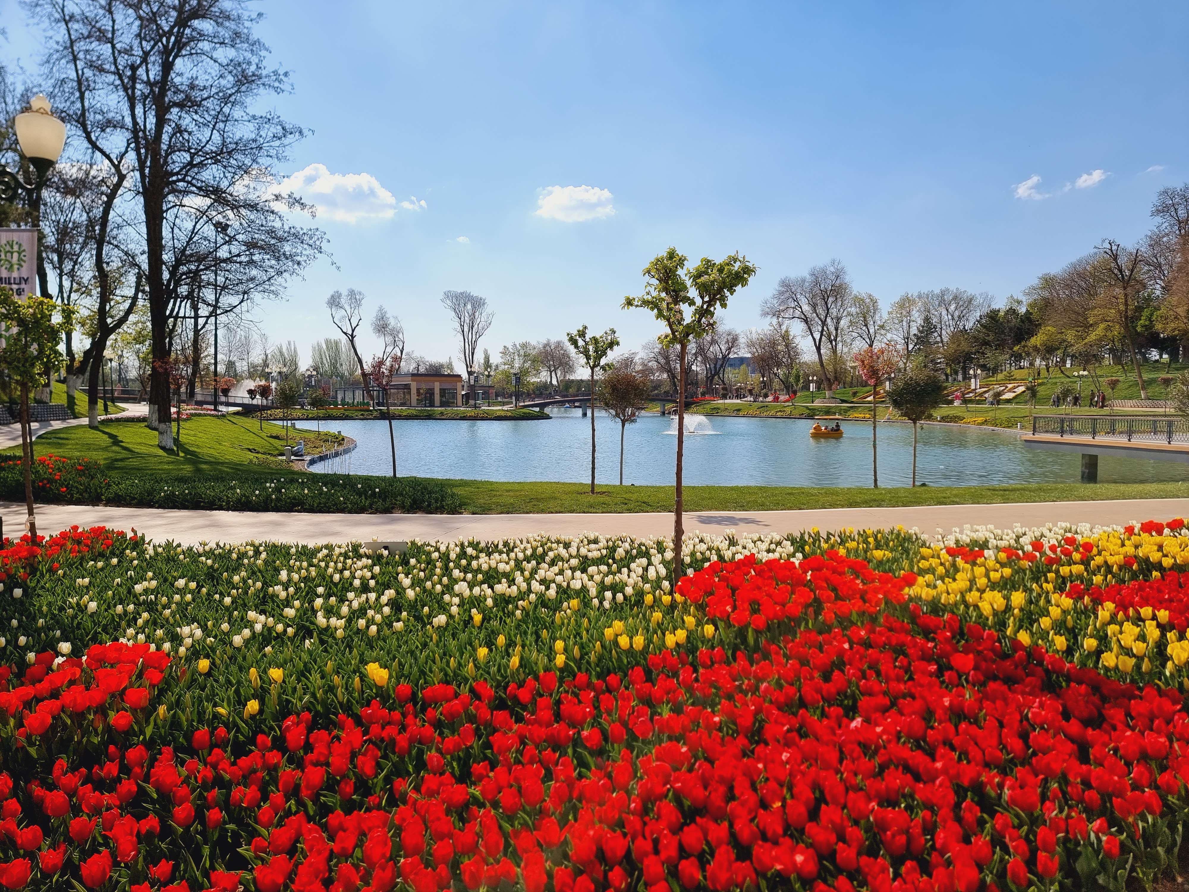 튤립 축제중인 공원