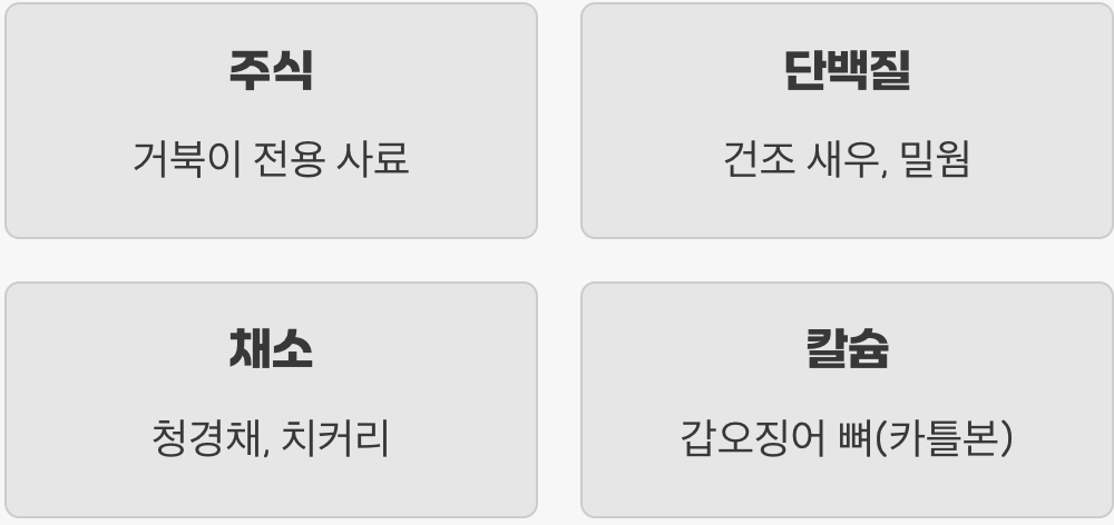 '사료'만으로는 부족해요, 영양 만점 식단
