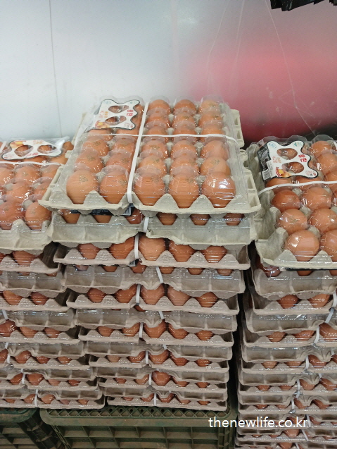 마트에 쌓여 있는 대량 포장된 마른비만 예방음식 계란