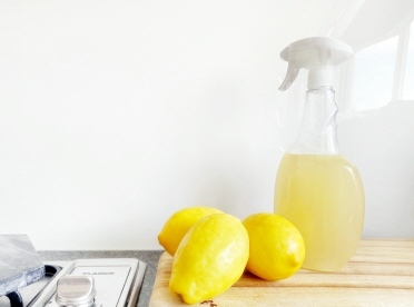 개미없애는 퇴치방법