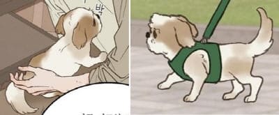 배타적연애금지구역-두리