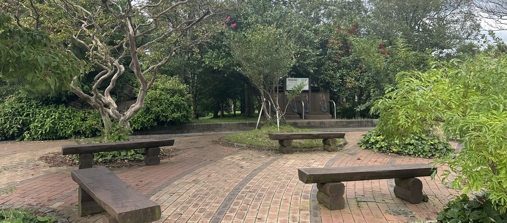 한라생태숲 나가는길