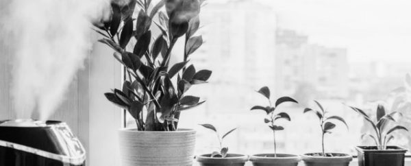 적정 실내습도 조절 방법 ① 가습기, 제습기