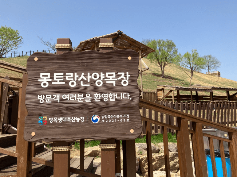 태백 가볼만한 곳