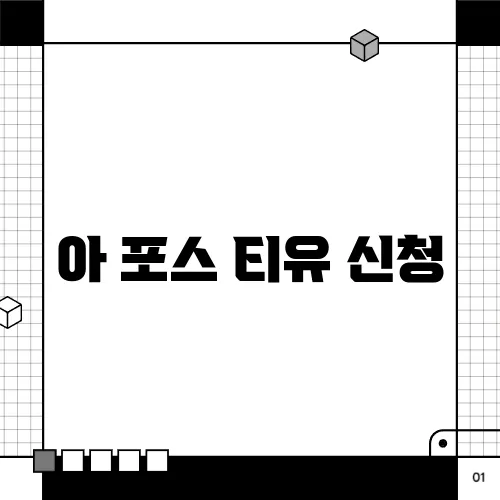아 포스 티유 신청